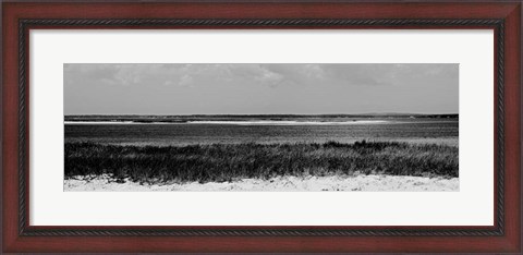 Framed Shore Panorama IV Print