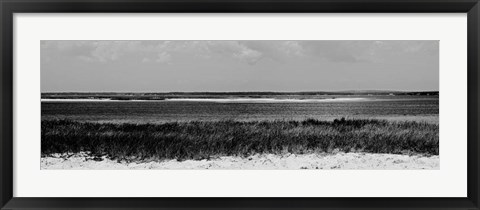 Framed Shore Panorama IV Print