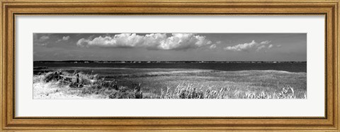 Framed Shore Panorama VII Print
