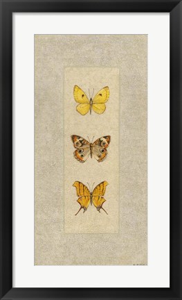 Framed Butterfly Trio I Print
