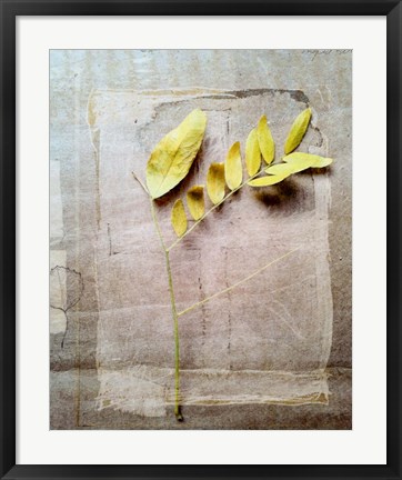 Framed Herbarium V Print