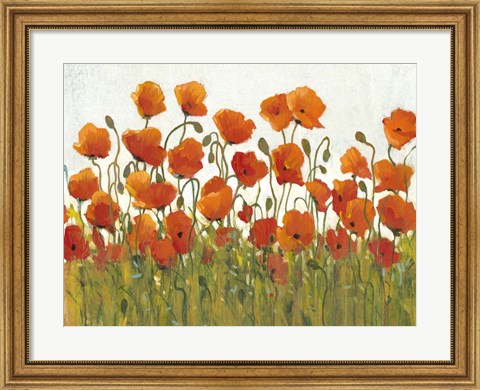 Framed Rows of Poppies I Print