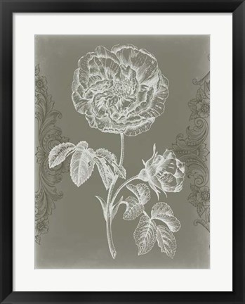 Framed Floral Relief I Print
