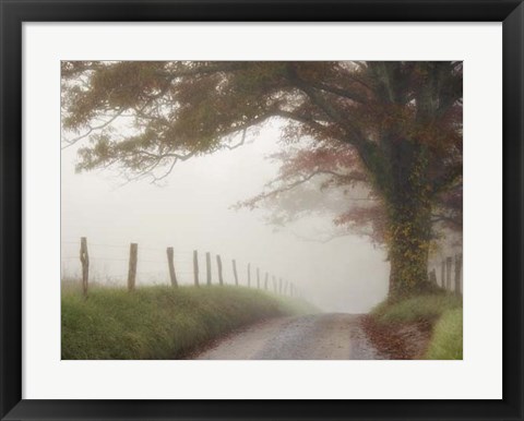 Framed Blanket of Fog Print