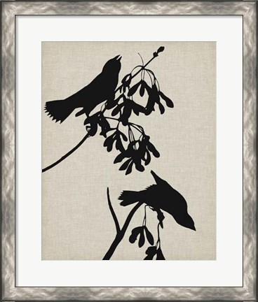 Framed Audubon Silhouette VI Print