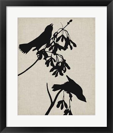 Framed Audubon Silhouette VI Print