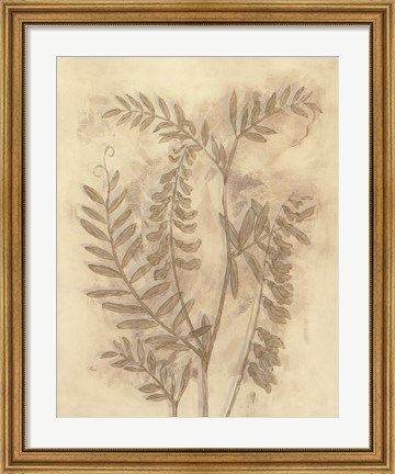 Framed Gilded Foliage I Print