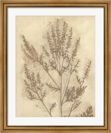 Framed Gilded Foliage II Print