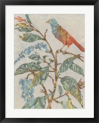 Framed Aviary Collage II Print