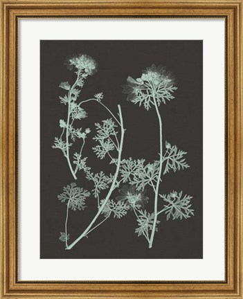 Framed Mint &amp; Charcoal Nature Study IV Print