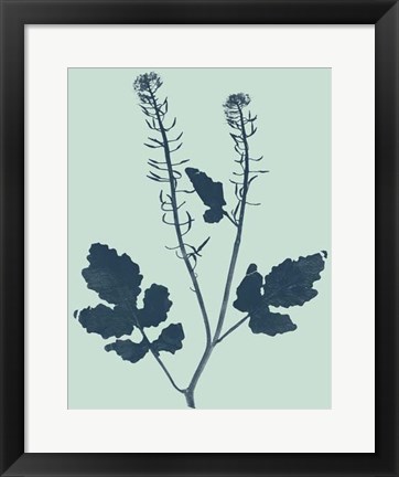 Framed Indigo &amp; Mint Botanical Study I Print