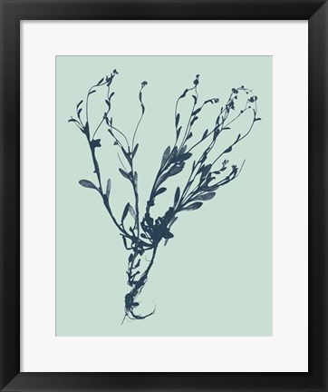Framed Indigo &amp; Mint Botanical Study VI Print