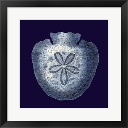 Framed Indigo Shells III Print