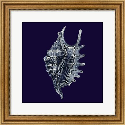 Framed Indigo Shells VI Print