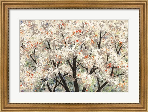 Framed Pear Blossoms in Spring Print