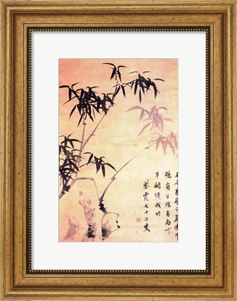 Framed Sin Wi, Bamboos Print