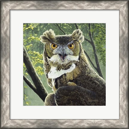 Framed Great Horned Owl Print