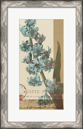 Framed French Blue III Print
