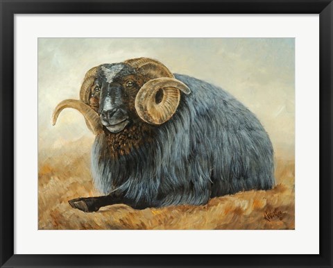 Framed Baa Baa Black Sheep Print