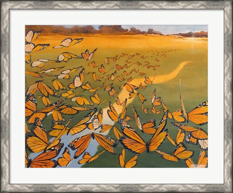 Framed Monarch Migration Print