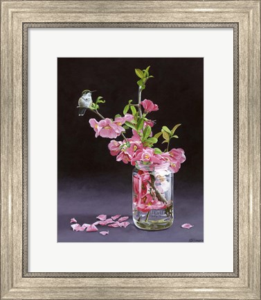 Framed Quince &amp; Ruby I Print