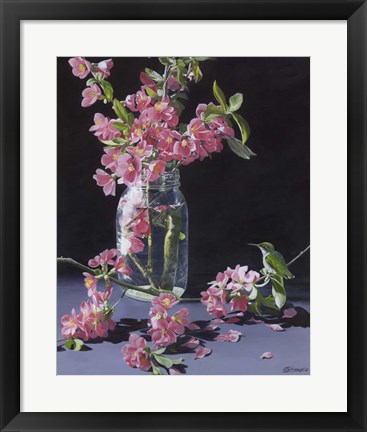 Framed Quince &amp; Ruby II Print
