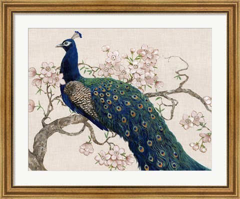 Framed Peacock &amp; Blossoms II Print