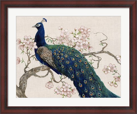 Framed Peacock &amp; Blossoms II Print