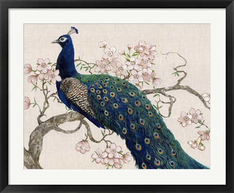 Framed Peacock &amp; Blossoms II Print