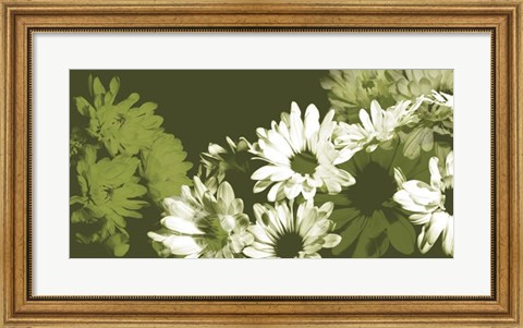 Framed Daisy Garden I Print