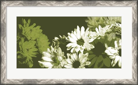 Framed Daisy Garden I Print