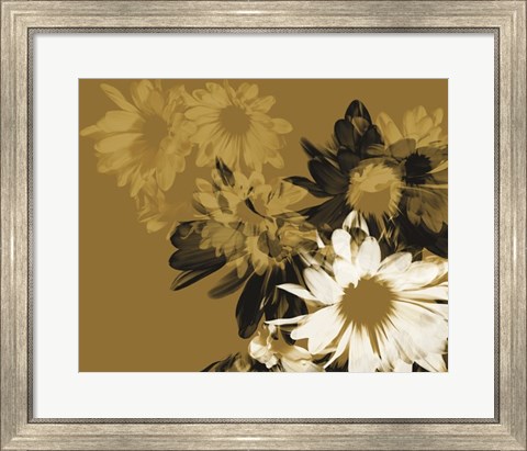 Framed Golden Bloom II Print