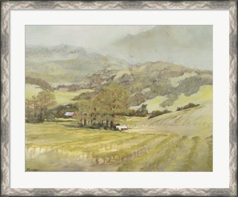 Framed Spring Vineyard Print