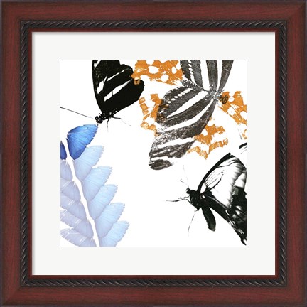 Framed Butterfly Inflorescence II Print