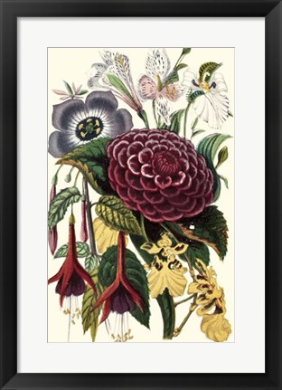 Framed Garden Gathering II Print