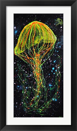 Framed Atlantic Sea Nettle Print