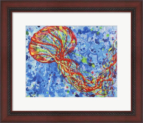 Framed Orange Sea Nettle Print