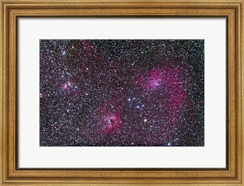 Framed Area of Flaming Star Nebula and complex in Auriga Print