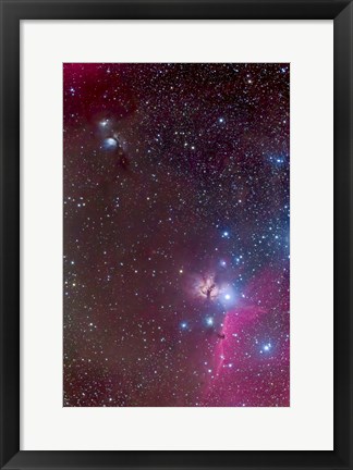 Framed Area around the Belt of Orion, with the Horsehead and Flame Nebula Print