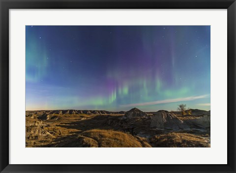 Framed Aurora borealis over the badlands of Dinosaur Provincial Park, Canada Print