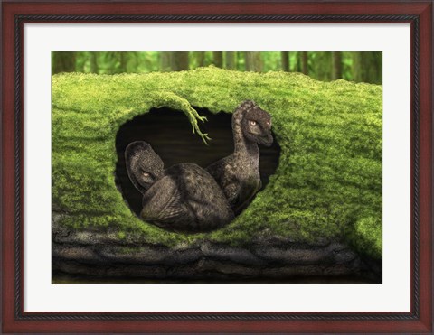 Framed pair of juvenile troodons in the hollow of a tree Print