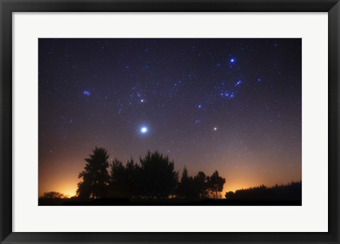 Framed Pleiades, Taurus and Orion with Jupiter over Doyle, Argentina Print