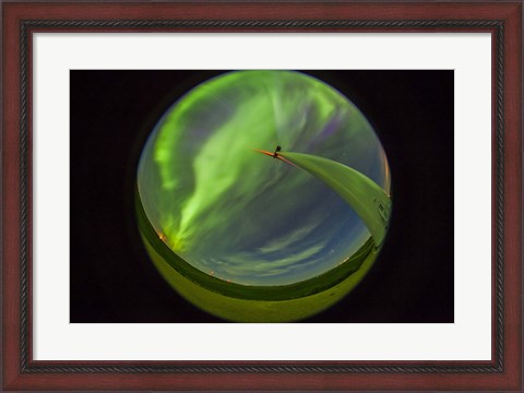 Framed aurora display taken from Wintering Hills Wind Farm, Alberta, Canada Print