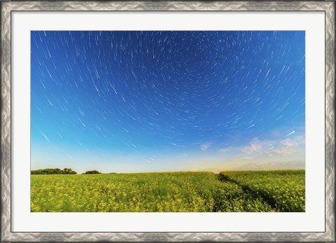 Framed Circumpolar star trails over a canola field in southern Alberta, Canada Print