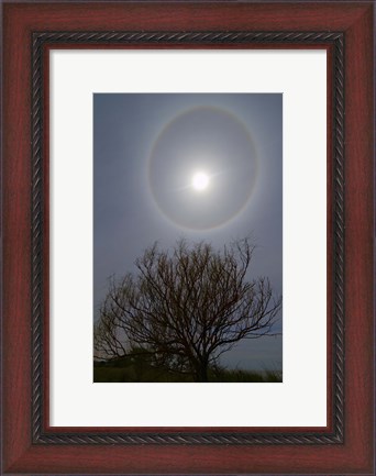 Framed 22 degrees halo around the 2013 supermoon Print