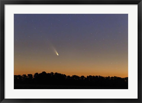 Framed Comet Panstarrs at twilight,  Buenos Aires, Argentina Print