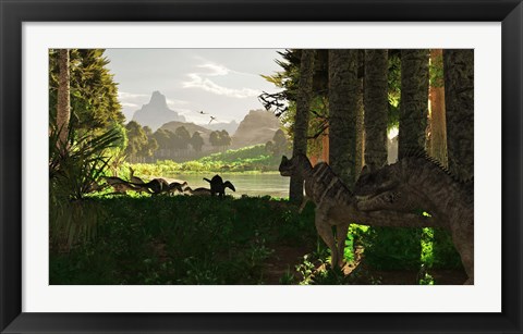 Framed Ceratosaurus dinosaurs stalk a herd of Camptosaurus eating plants Print