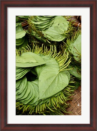 Framed Betel Leaves (Piper Betle) Used to Make Quids For Sale at Market, Myanmar Print