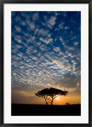 Framed Africa. Tanzania. Sunrise in Serengeti NP. Print