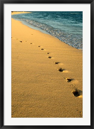 Framed Footprints in the Sand, Mauritius, Africa Print